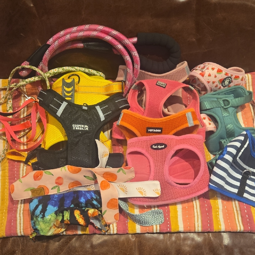 DOGGY STUFF Pink and Yellow Dog Harness with Adjustable Straps and Secure Buckle